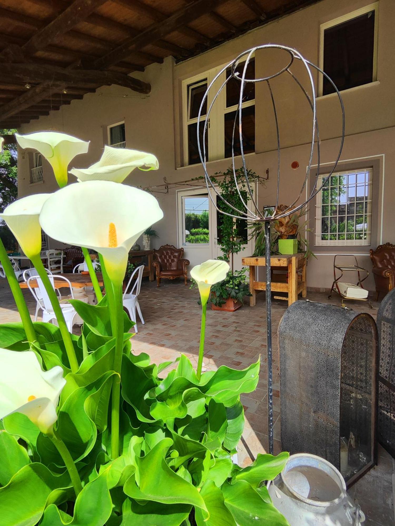 Garda Relais Antica Romelia Bed & Breakfast Montichiari Ngoại thất bức ảnh